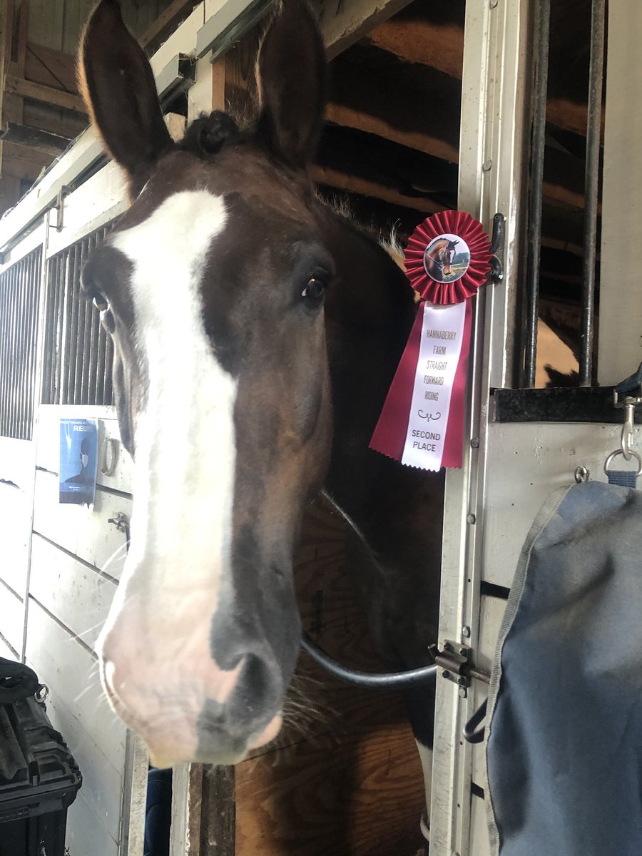EmJS02's tweet photo. @lillanimals Guinnessa- nicknamed piggy! https://t.co/4Q9N5woxqx