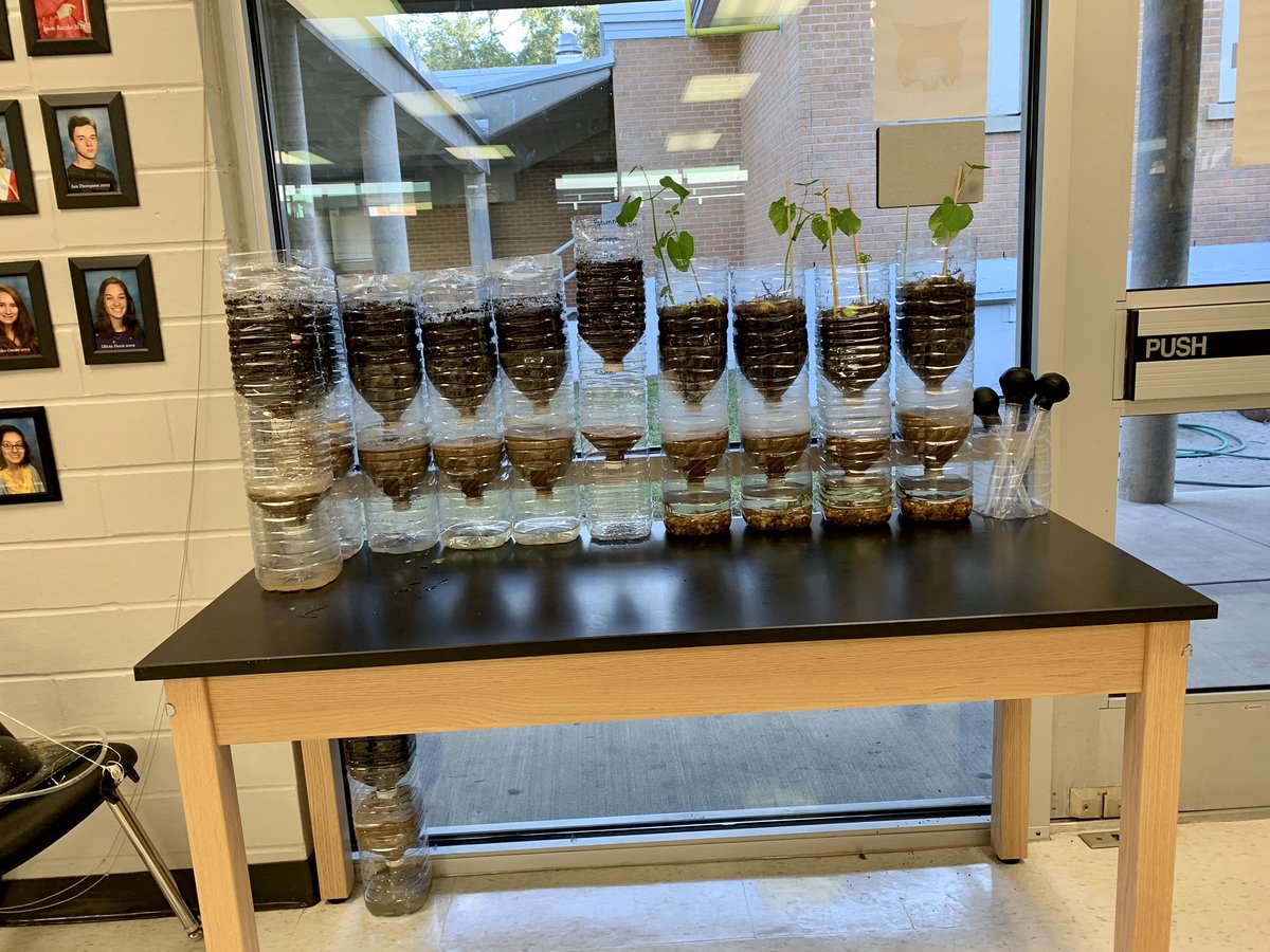 akaysci's tweet photo. Why did I select two major projects the same week for two completely different subject areas?! Rocket launcher stopped working too...#mayhemweek 😕 https://t.co/Uz0ollTQ9I
