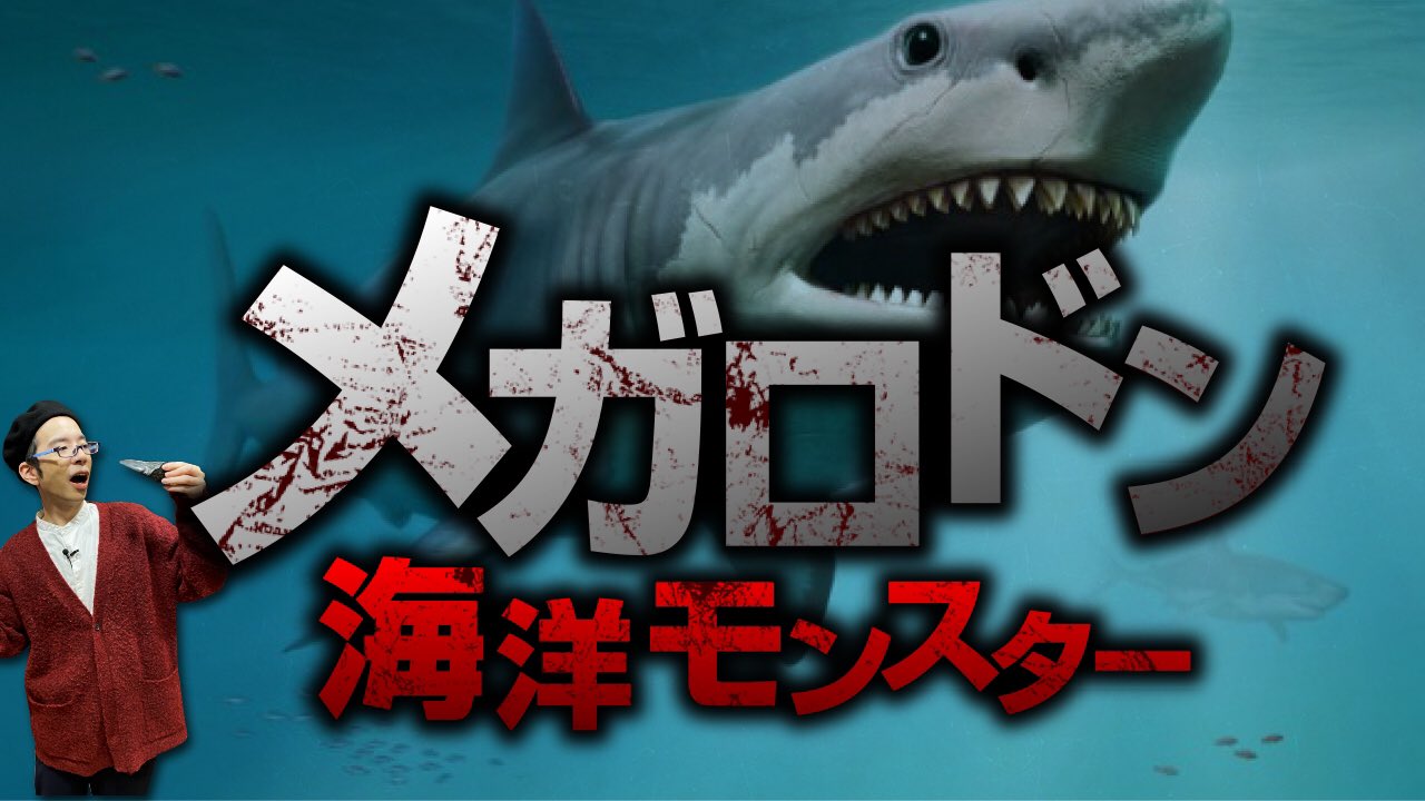 Twitter 上的 オカルトエンタメ大学 海洋モンスターの王様 メガロドンは生きている 今夜19時 プレミア公開 T Co Jenv1zudhw メガロドンの本物の歯を公開 5度の大量絶滅を乗り越えてきたサメの歴史 メガロドン驚異の目撃情報 講師は