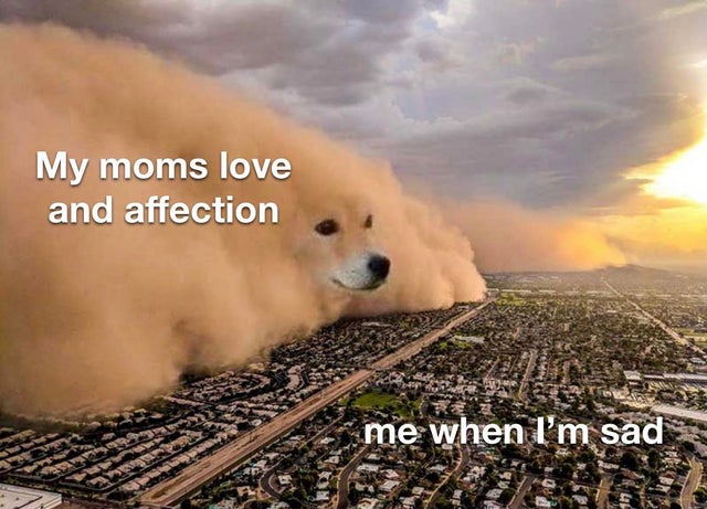 WholesomeMeme's tweet photo. https://t.co/drv2hrADQE