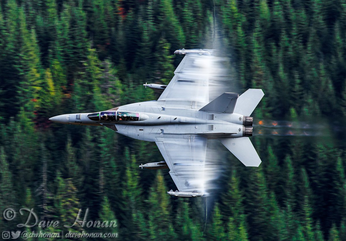 Dave Honan tweet media