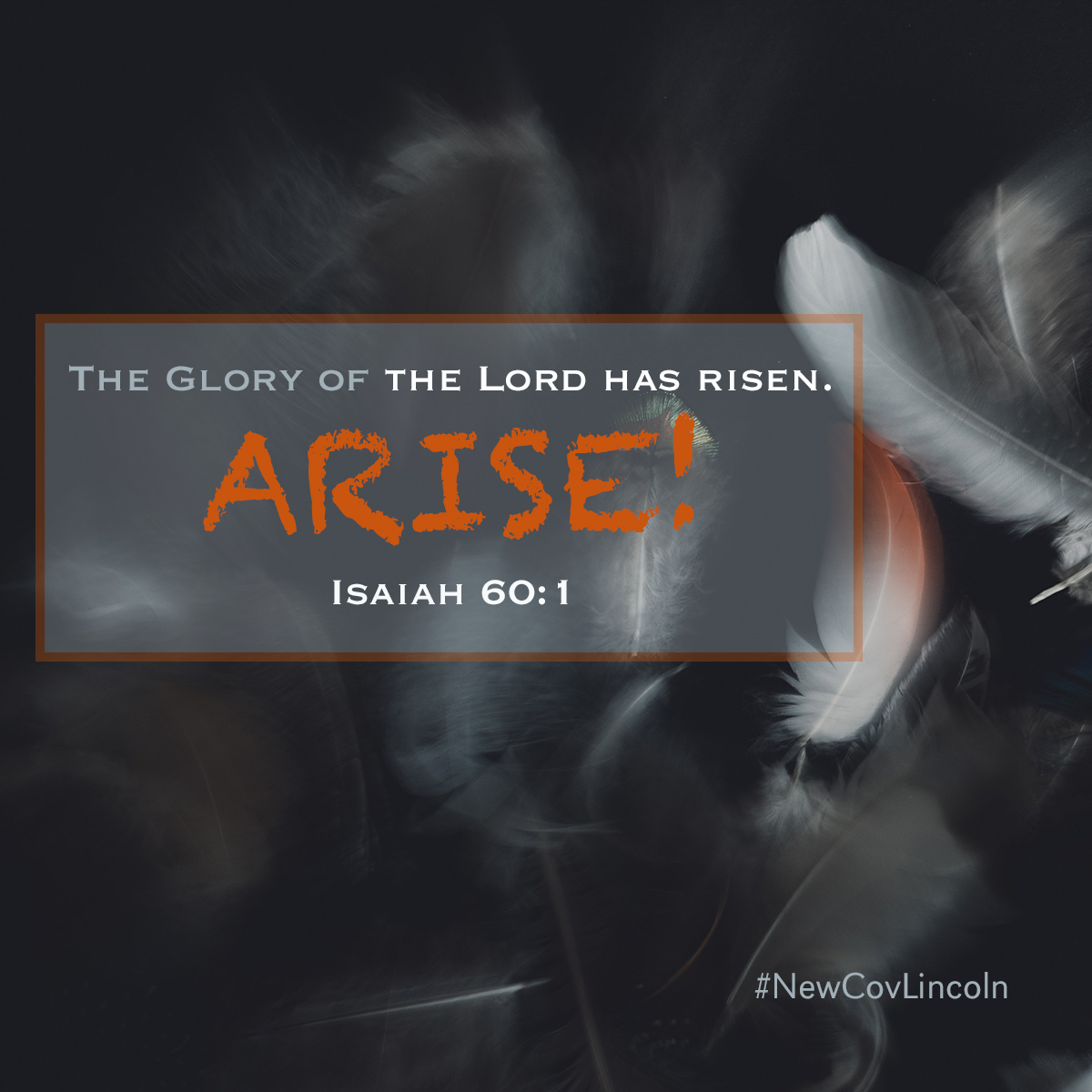 newcovlincoln's tweet photo. Arise, shine, for your light has come, and the glory of the LORD rises upon you.--Isaiah 60:1
#ReadReflectRespond #NewCovLincoln https://t.co/hB6aHGTJ5K