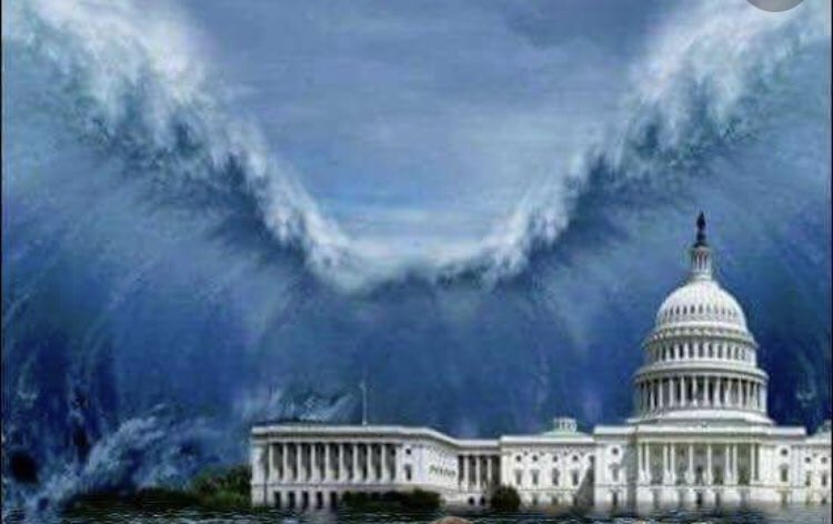 America19652017's tweet photo. @realDonaldTrump But, YOU convinced YOUR voters NOT to vote by MAIL, during a WORLD PANDEMIC 😷 So, some of your voters were to SICK to go vote, are to DEAD to vote 💔 or FINALLY gave up on YOU. #MoveTrumpOut https://t.co/2rjpQgaKVE
