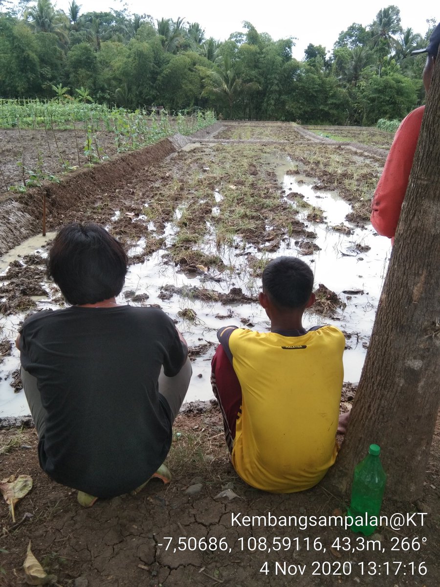 hendriyusadi's tweet photo. Young, plant, grow and shine.
(petani muda "kembang sampalan")
We can grow, nourish and sustain.
#FAO75 https://t.co/netuUxY8Lu