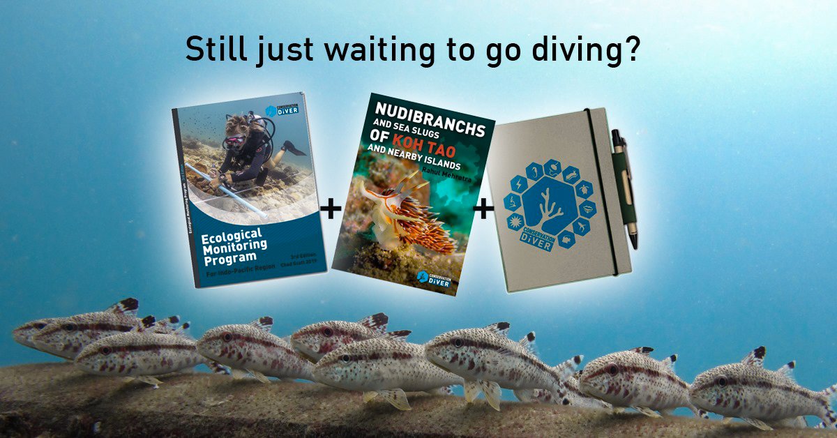 ConservationD's tweet photo. With the giving season approaching, many of us are looking for gift ideas. Look no further, we have created a holiday gift set! 🥰
Our book set includes a FREE photosurvey card, postcard +stickers
Alternatively, purchase any CD book for a FREE notebook!

https://t.co/1f30I7b9GO https://t.co/SA8tT9QIDI