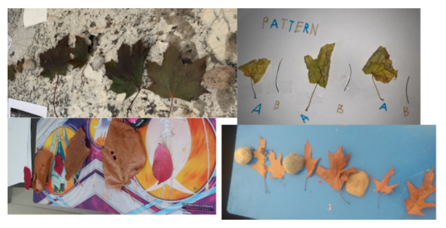 amanda__kuntz's tweet photo. Great things happening in Grade 1 @IsidoreVirtual. Ms. Riberio's grade 1 class went on an outdoor scavenger hunt and found objects in nature which we used to create patterns. #mathisfun #fallpatterns https://t.co/JCbIRImSxX