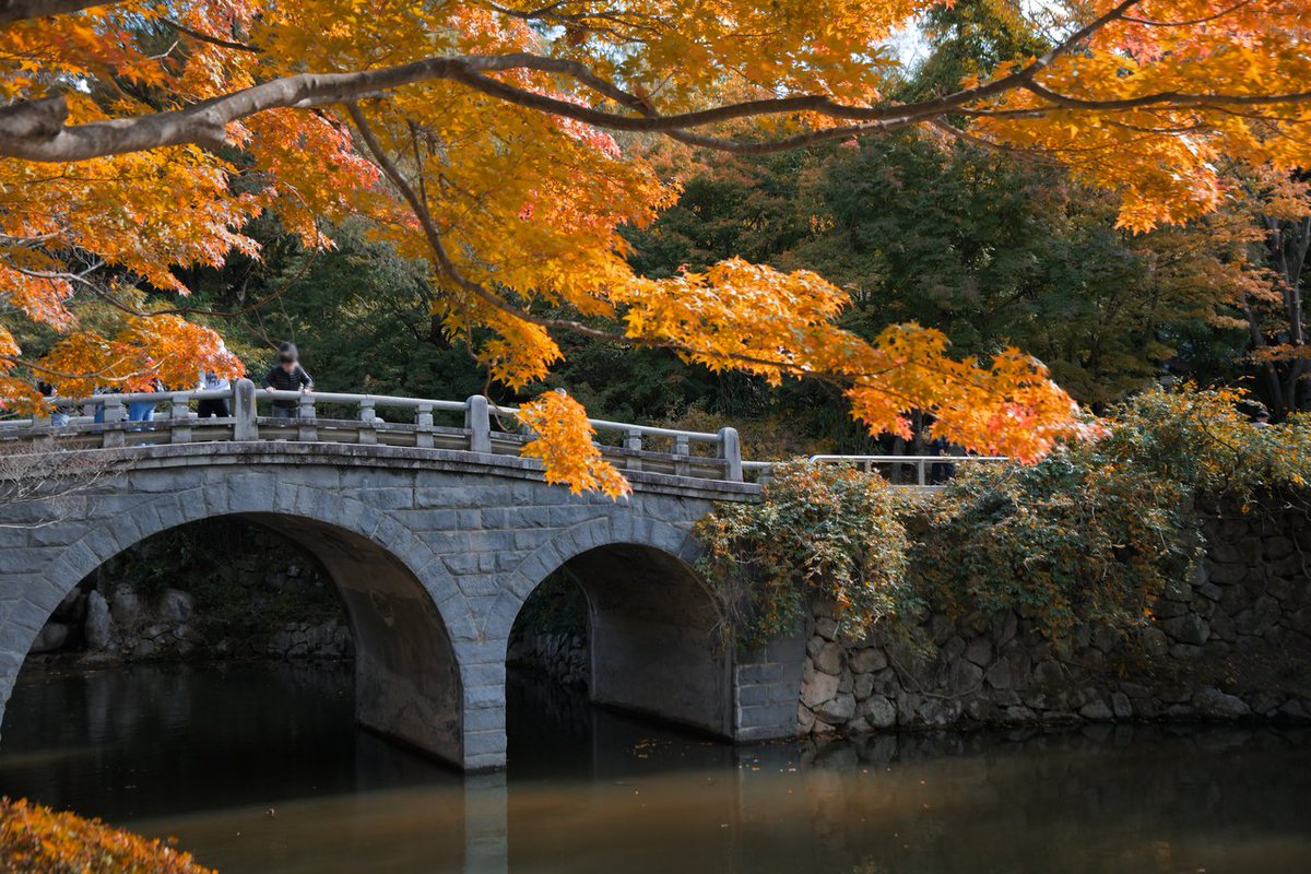 KoreanTravel tweet picture