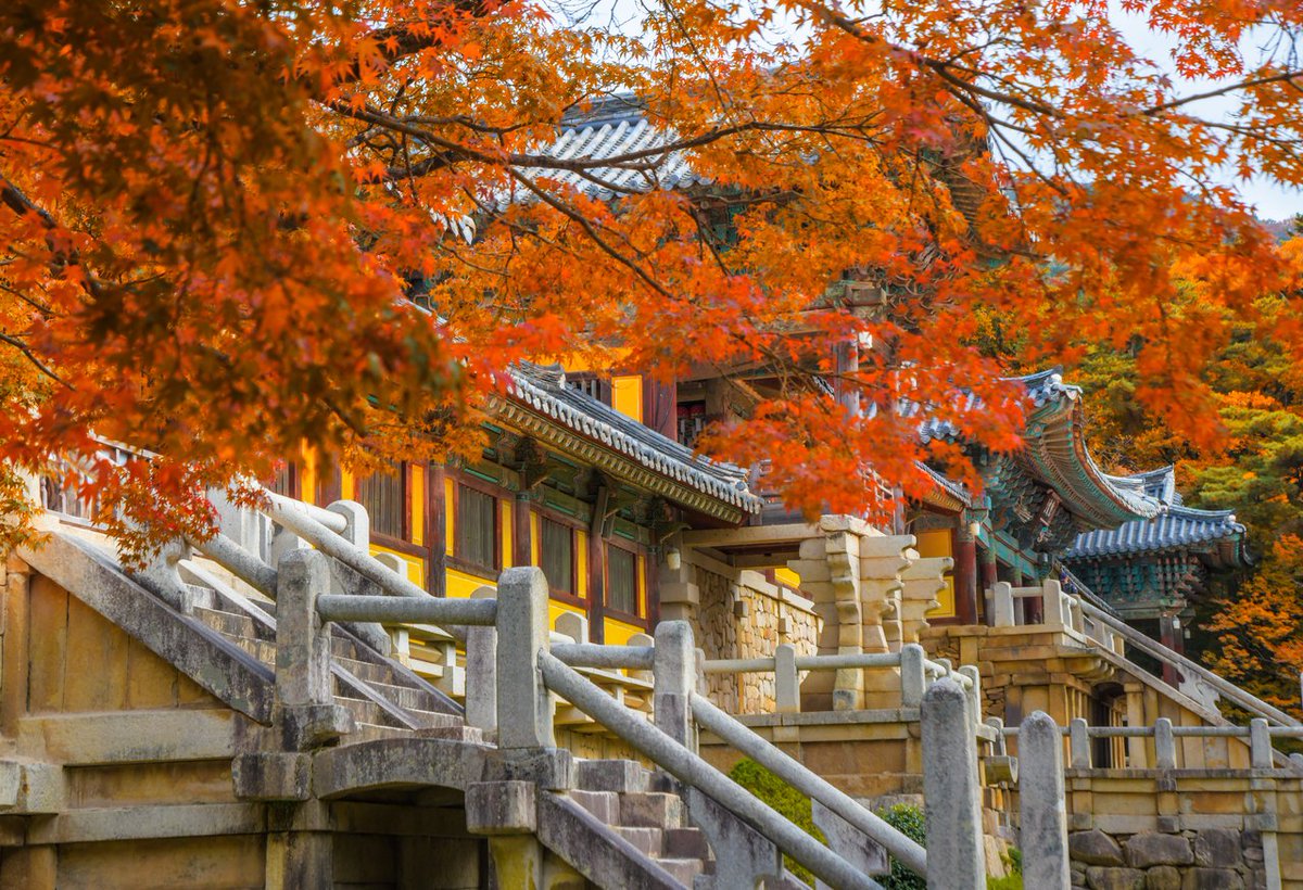 KoreanTravel tweet picture
