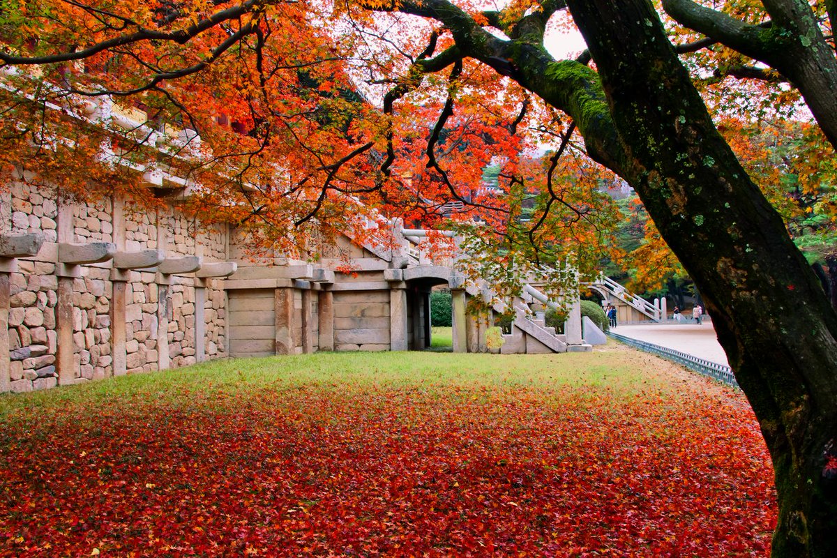 KoreanTravel tweet picture
