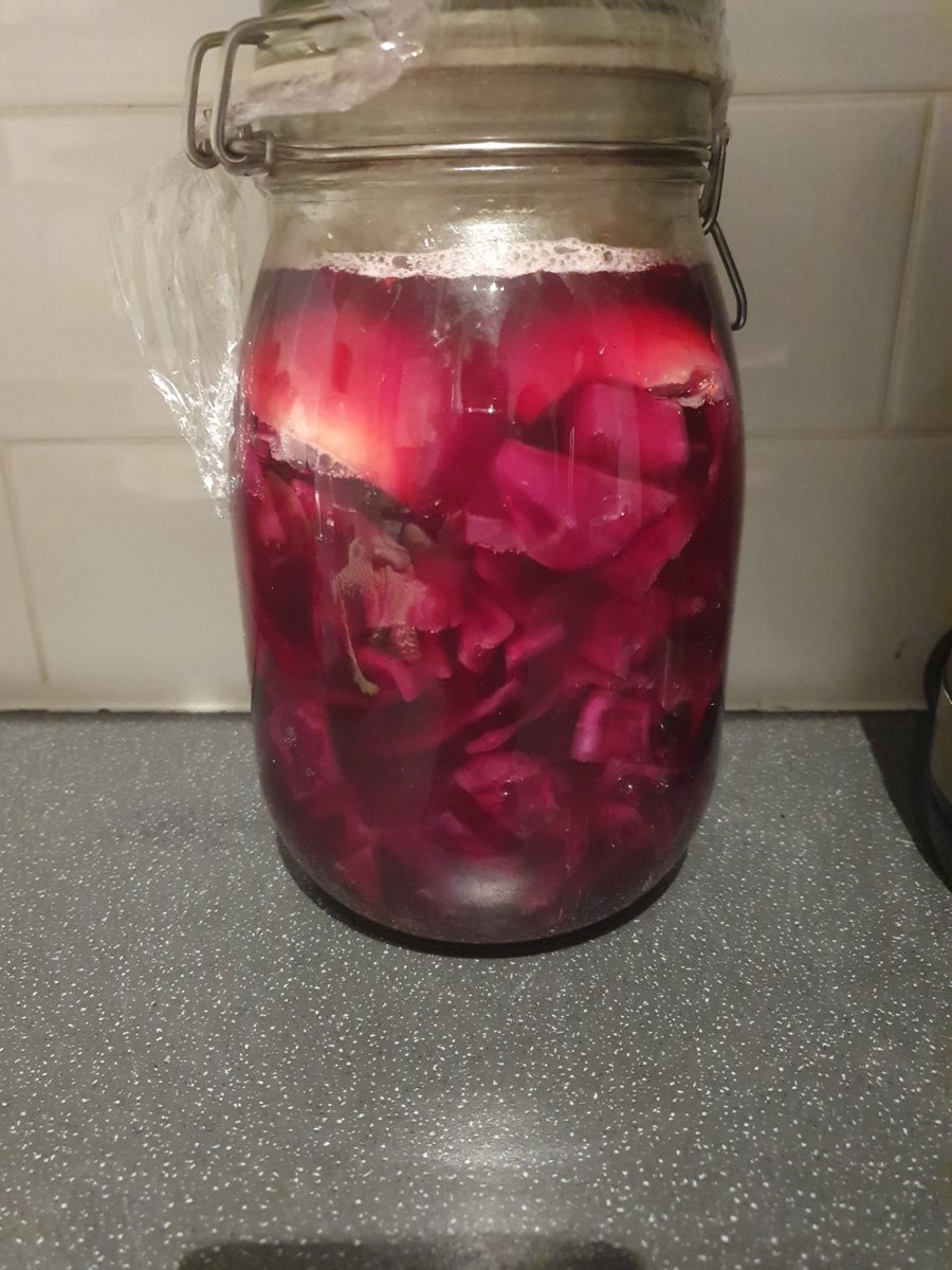 mccourt_360's tweet photo. @geeknik Fermented red cabbage, apple and chilli. 4 days and in. https://t.co/aXiDpxt24k