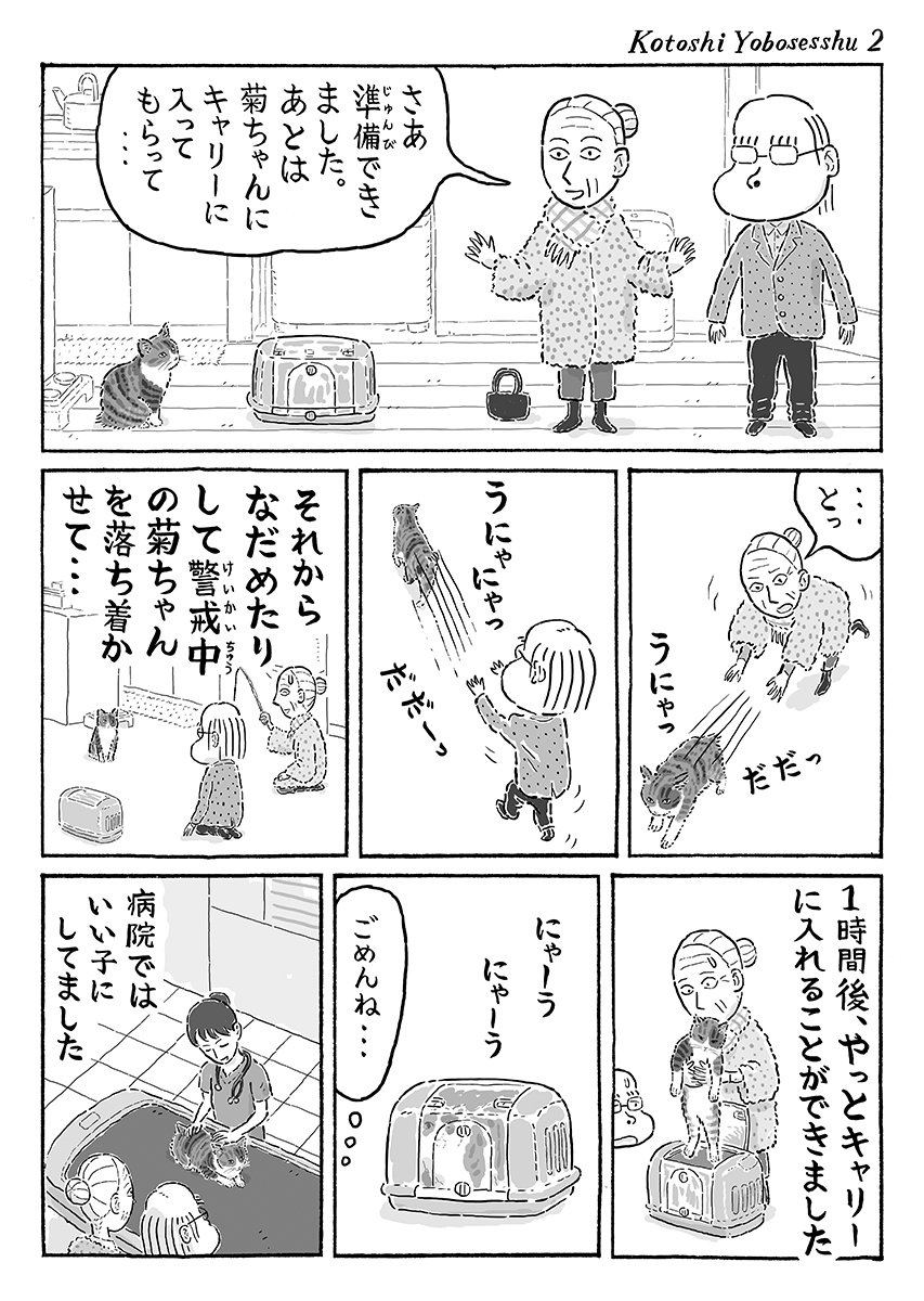 2ページ猫漫画「今年の予防接種」 #猫の菊ちゃん 