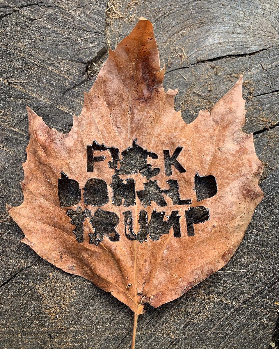 2ndwndStudio's tweet photo. #PSA #FDT https://t.co/oq3GnsYijY
