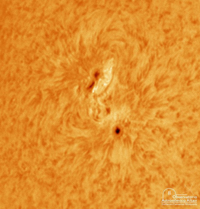 MemoBTL's tweet photo. AR2781 en la Cromosfera

Sigo en obsesionado con esta región activa, llevo fotografiandola varios dias seguidos, y me he enamorado de su evolución, sobre todo en Cromosfera con el PST

Agradezco tus RT, así mas personas pueden conocer mi trabajo. 
Cielos Despejados! https://t.co/yvQrFuRr3d
