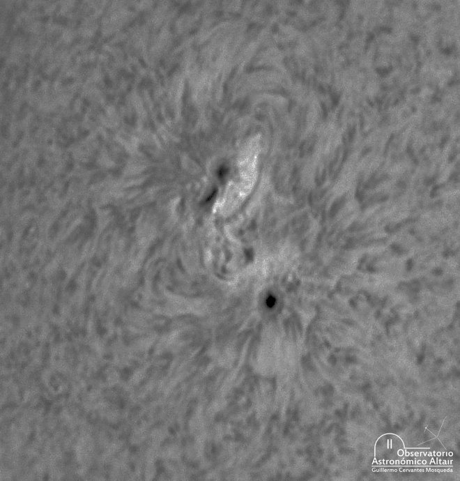 MemoBTL's tweet photo. AR2781 en la Cromosfera

Sigo en obsesionado con esta región activa, llevo fotografiandola varios dias seguidos, y me he enamorado de su evolución, sobre todo en Cromosfera con el PST

Agradezco tus RT, así mas personas pueden conocer mi trabajo. 
Cielos Despejados! https://t.co/yvQrFuRr3d