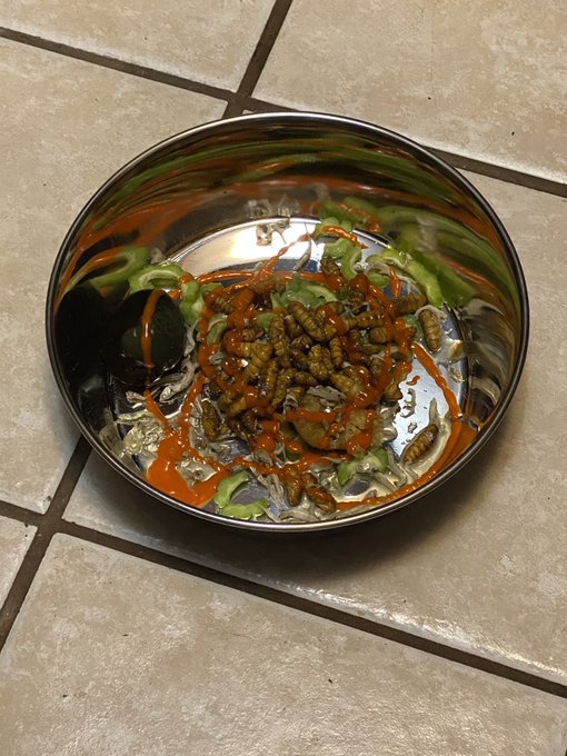 I put together a meal for My sissy of gourmet foods. Pungent. Textured. Gourmet foods.   Durian Dried