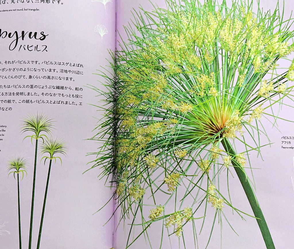 芳林堂書店高田馬場店 平日10時 21時土日祭日10時 時営業中 En Twitter 4f新刊入荷 うつくしすぎる自然博物 ベン ホアー 高里ひろ 翻訳 主婦の友社 あなたを悠久の時間旅行に連れていく自然は地球のアート作品 鉱物 微生物 植物 動物 このうえ