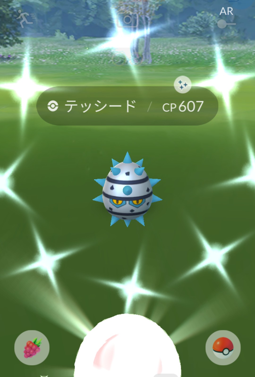 テッシード色違い Twitter Search Twitter