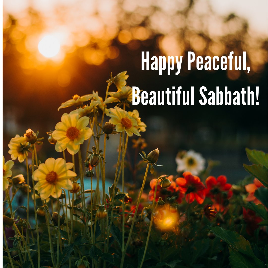 Adventist Review Enjoy The Sabbath Happysabbath Sabbath Sabbathrest Dayofrest Adentists