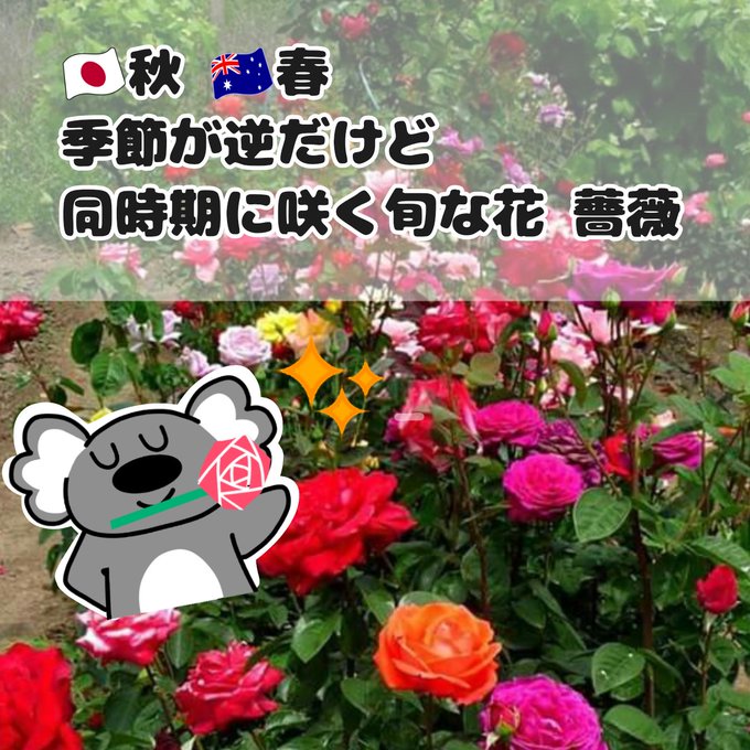 良い匂いのtwitterイラスト検索結果 古い順