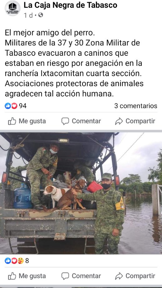 prensaanimal4's tweet photo. #EnRedSocial La Caja negra de Tabasco circuló imágenes del ejército mexicano salvando animales de compañía de la inundación en #Tabasco
Qué opinan?
https://t.co/3Ie4aGfrPc https://t.co/Fag9YTjVXD