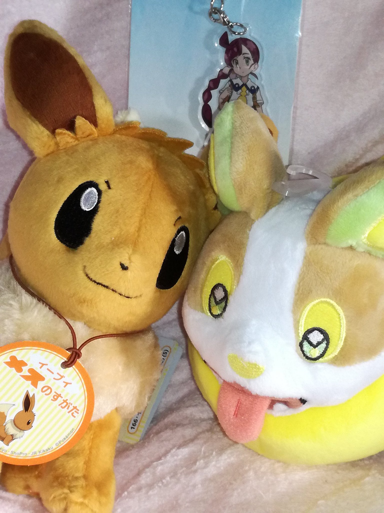 ミントsnow イーブイのメスの姿のぬいぐるみ届きました アニポケでのコハルのイーブイの登場が楽しみです ミントsnow イーブイのメスの姿のぬいぐるみ届きました アニポケでのコハルのイーブイの登場が楽しみです