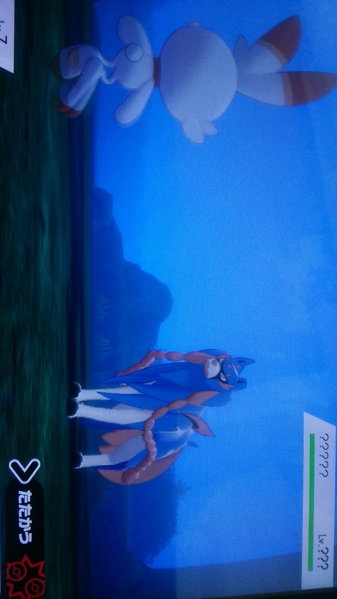 ゆっくりチャンネル ポケモン剣盾 おい うちのハイテンウサが T Co Hmsc3rdmp0 Twitter
