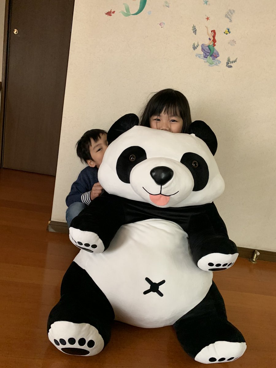 永谷園のにこにこパンダの抱きまくらが当選しました(^-^) 2つも