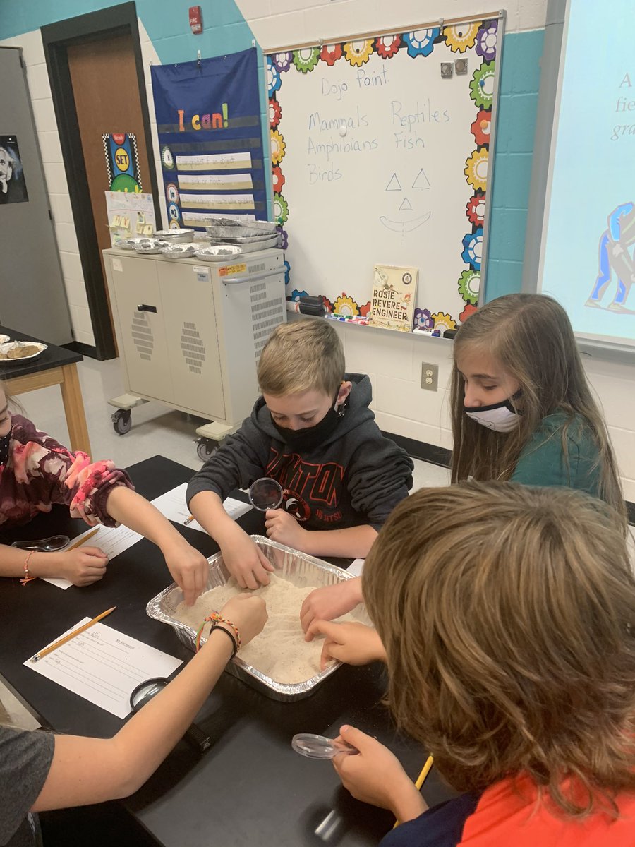 Lisa Williams tweet media