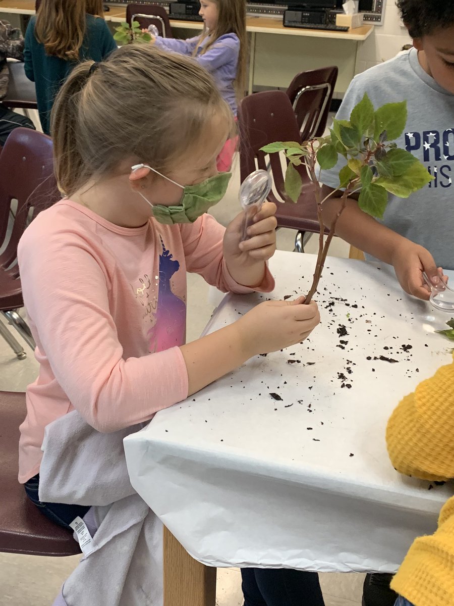 Lisa Williams tweet media