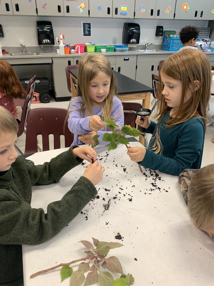 Lisa Williams tweet media