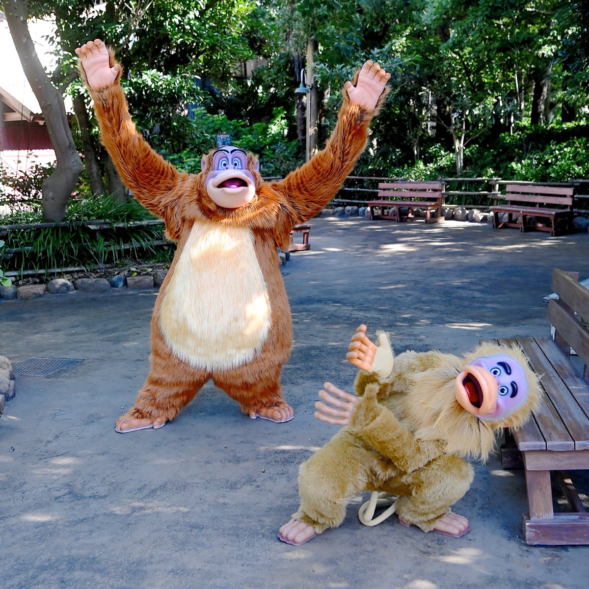 Mezzomikiのディズニーブログ V Twitter 東京ディズニーシーにキング ルーイが登場 ハンガーステージ ジャングル ブック キャラクターグリーティング T Co Nqypqzdkvz Mezzomikiのディズニーブログ V Twitter 東京ディズニーシーにキング ルーイが登場 ハンガーステージ ジャングル ブック キャラクターグリーティング T Co Nqypqzdkvz