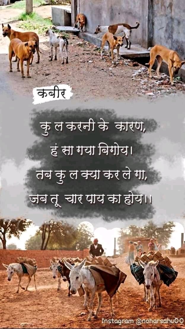 Missionsatlok99's tweet photo. #treespleasure #treescape #treeframing #treeshunter #treetops #treestagram #treelove #treelover #treesofinstagram #tree_pictures #tree_love #naturelovers #tree_captures #treescollection #forest #viewersdemands2withashdeep https://t.co/8AJYiOCnh3