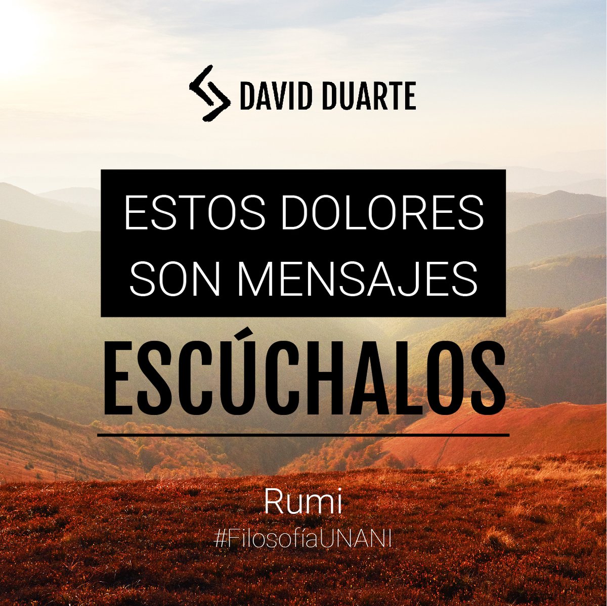 David Duarte Mx tweet media