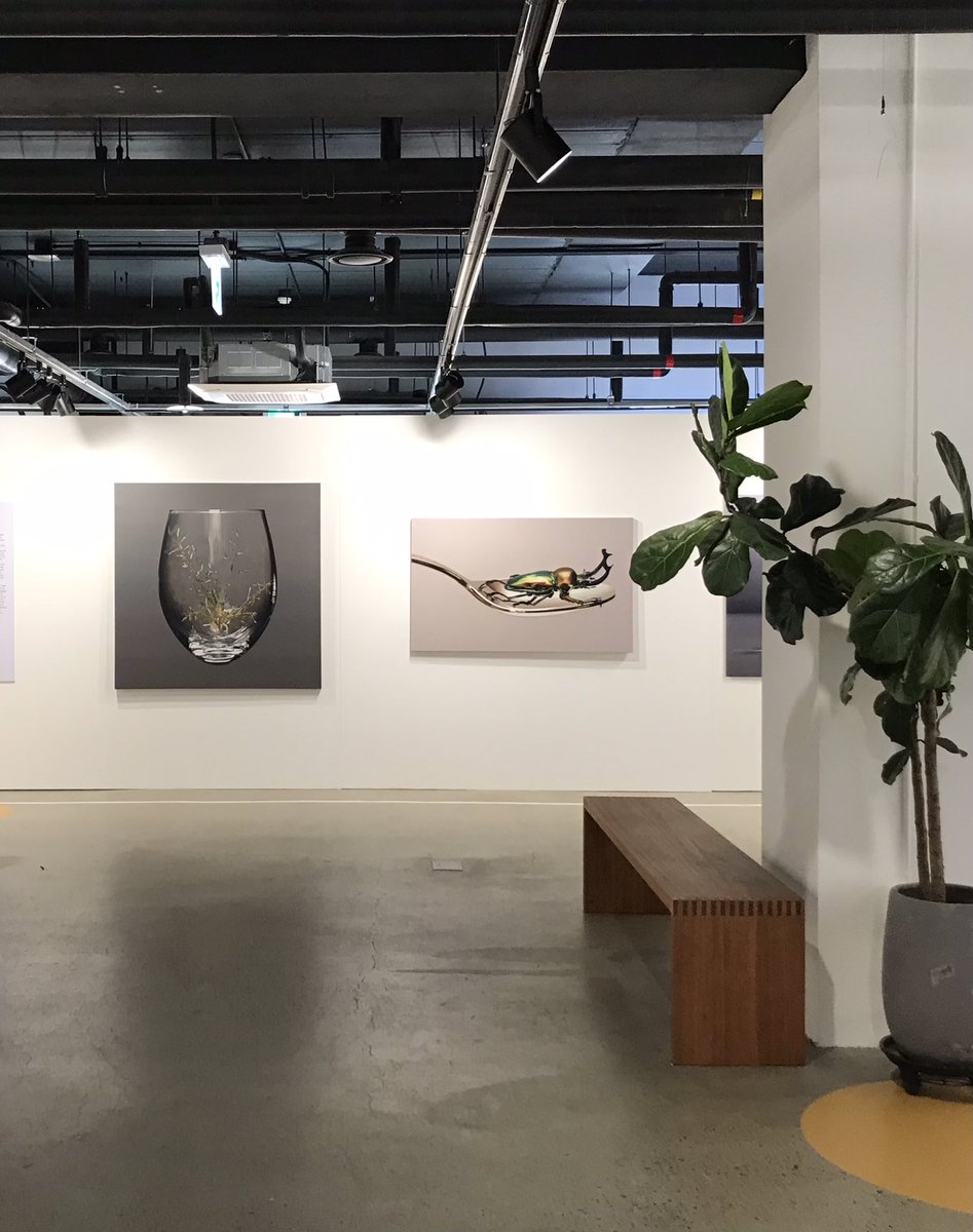 100vun's tweet photo. [Into the Forest] Nov 6- Dec 6. 
Space445 Gallery, Nodeul Island, Seoul. 
#김영성 #극사실 #잡초 #Youngsungkim #Hyperrealism #painting #contemporaryart #environment #climatechange #weeds #Pebeo #Schmincke #BorcianiBonazzi #forest #artmining #space445 #nodeulisland #seoul #노들섬 https://t.co/xZW0g0H4IO