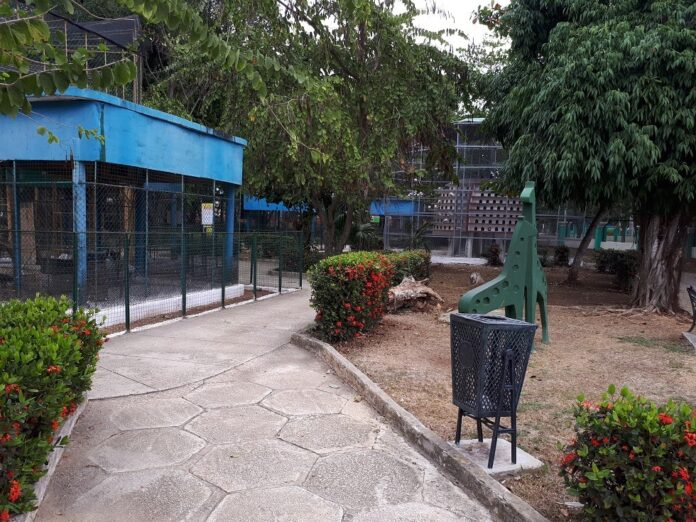 Mantiene vitalidad Parque Zoológico de #CiegodeAvila radiosurco.icrt.cu/mantiene-vital… <a href="/Gg_2014Sandra/">Sandra Gutiérrez G.</a> @chamberohoy <a href="/MaiteVegaP/">Maite Vega P</a> <a href="/JosLuisMAlejo/">José Luis M. Alejo</a>  <a href="/siempreyunior/">SiempreYunior</a>  <a href="/mtycubanita1/">m@tycubanita</a> <a href="/adialim7/">Adialim López Morales</a> @nijutohe  <a href="/CarlosGP0720/">Carlos Garrido Pérez</a> <a href="/lidiav67/">Lidia Viamonte Alfon</a> <a href="/CutinoMiladys/">Miladys Causilla Cutiño</a> <a href="/RadioMaisi/">Radio Maisí</a> <a href="/companioni74/">Alejandro Abilio P. Companioni</a>
