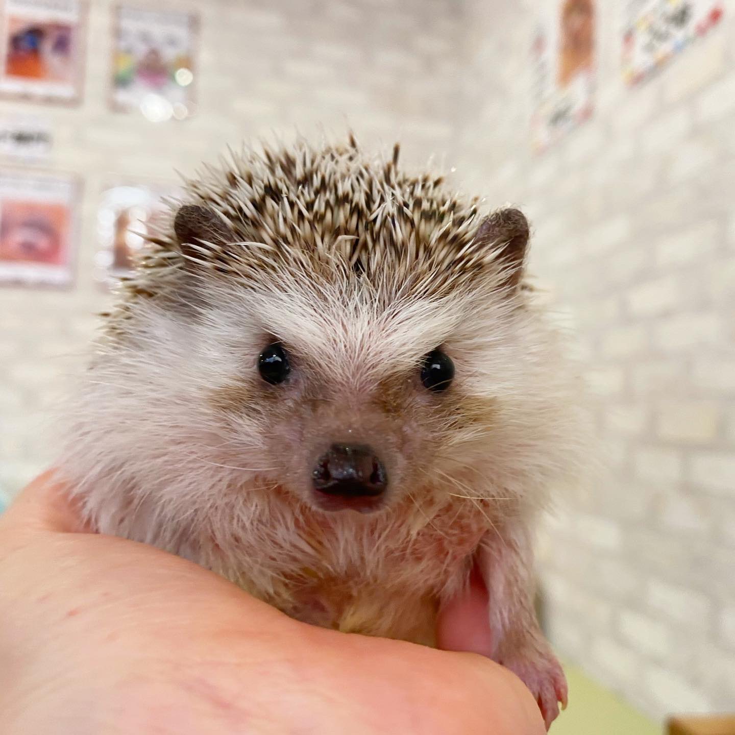 まあ Yo M Harry39 Twitter