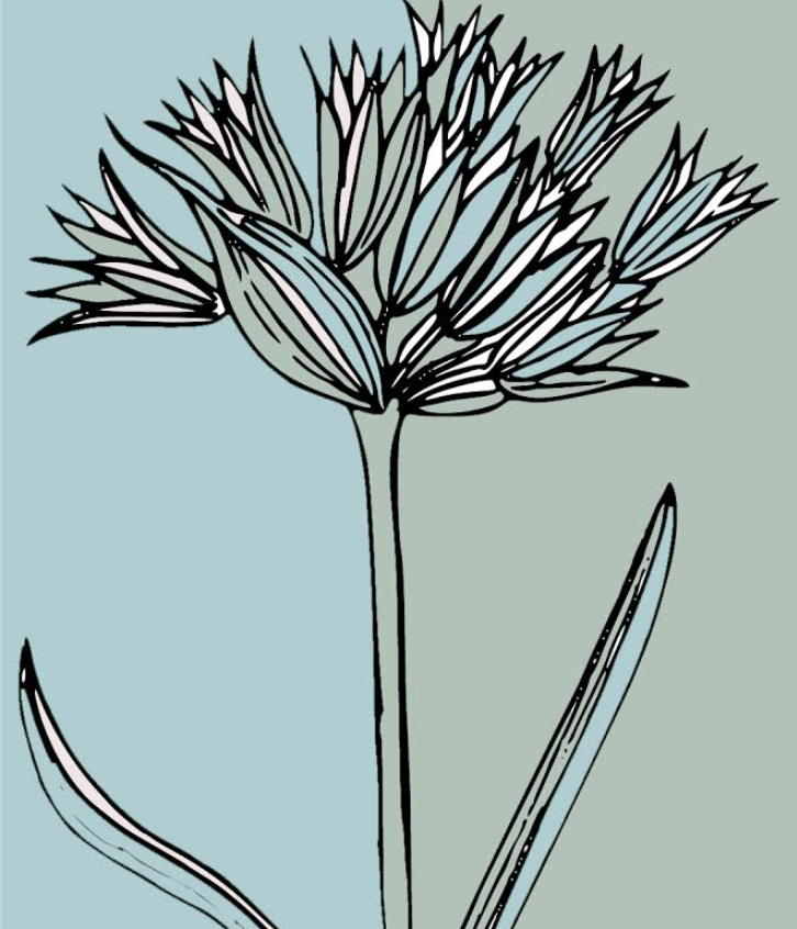 Think about the blooms, the petals, you have collected this year...(even amidst 2020's chaos) share with us. #poetry #litmags #submit #writing