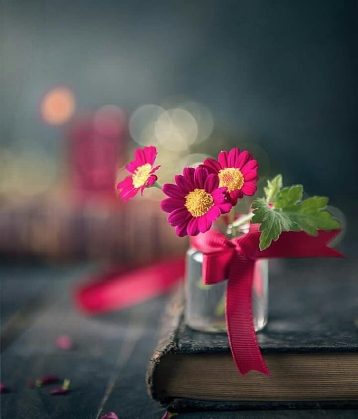 Just___943's tweet photo. #الأخلاق : هي الروح  التي لا تموت بعد الرحيل ،
ما أجمل أن تسير بين الناس ويفوح منك عطر أخلاقك ، 
إجعل لنفسك عمراً لا ينتهي بأعمالك، بأخلاقك ، بروعة ابتسامآتك، لتكون غائباً حاضراً بكل مكان مررت به.... 🕊️
......
#صباح_الخير 💜 https://t.co/uelu4uIUds