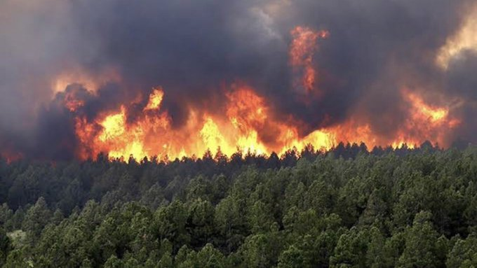 LamineKingbird's tweet photo. #feux_forêts ...,
*Encore 1 autre complot du ' Gang ' #Issaba déjoué grace à la veille des Unités de l' #Armée_Algérienne https://t.co/UKWf64biNK