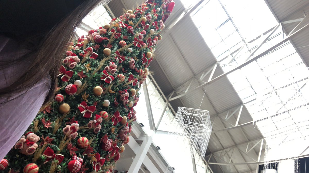 AnaGabu_'s tweet photo. então é natal né https://t.co/Sx6vYQmhyw