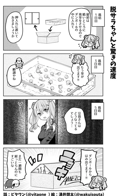 ブラック企業を辞めた女の子が家庭菜園を始める話? その③ 