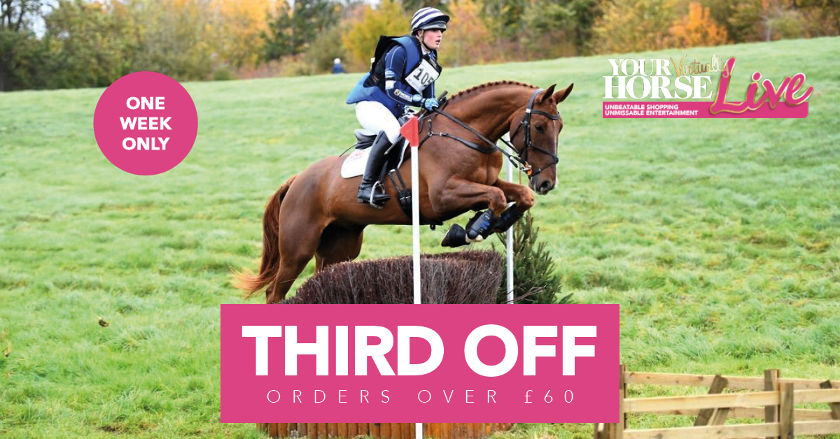 Feedmark's tweet image. ❗ THIRD OFF ❗

Don’t delay, simply apply this code to your basket for the discount: 

YHL-2020-FM

We hope this special offer will help with the Your Horse Live blues this year!

➡️ feedmark.com/en/

#thirdoff #supplements #discount