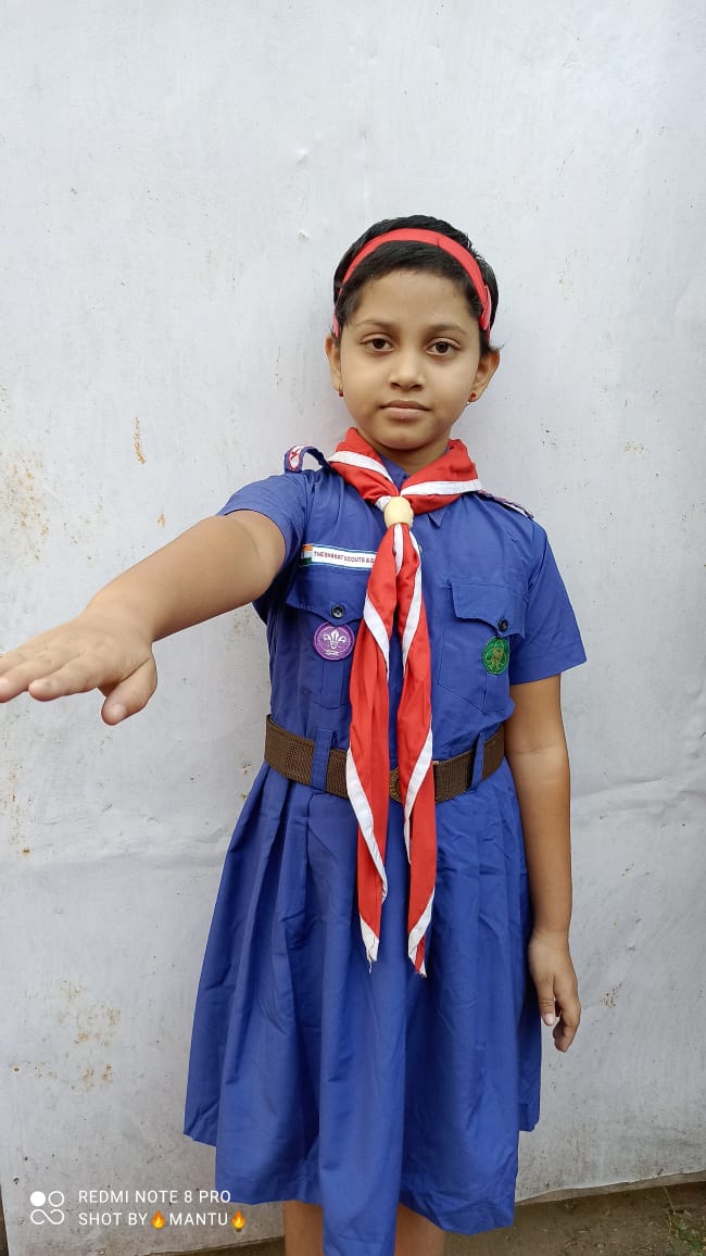 Bharat Scouts & Guides | Library Kendriya Vidyalaya, BSF Kishanganj