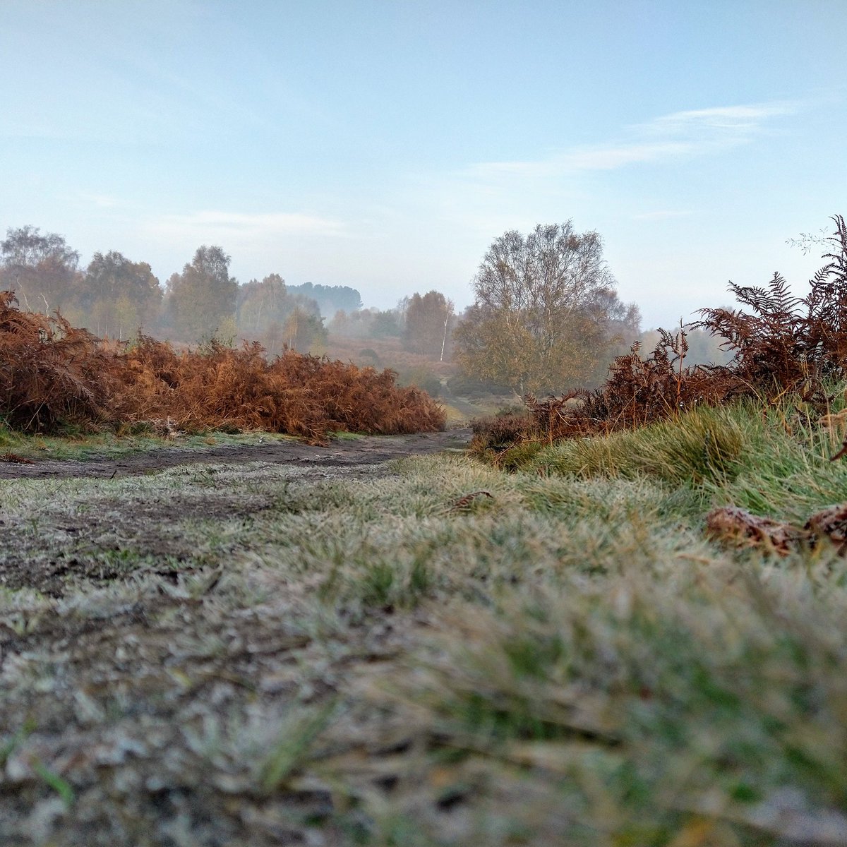 Geoggersthom's tweet photo. First run of lockdown and what a beautiful morning in the park! Great to see some Plantsbrook students getting their daily exercise too @PlantbrkSchool #running #exercisehit #feelgood #suttonpark https://t.co/9IEZBcBiRE