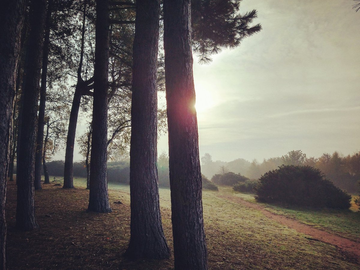 Geoggersthom's tweet photo. First run of lockdown and what a beautiful morning in the park! Great to see some Plantsbrook students getting their daily exercise too @PlantbrkSchool #running #exercisehit #feelgood #suttonpark https://t.co/9IEZBcBiRE