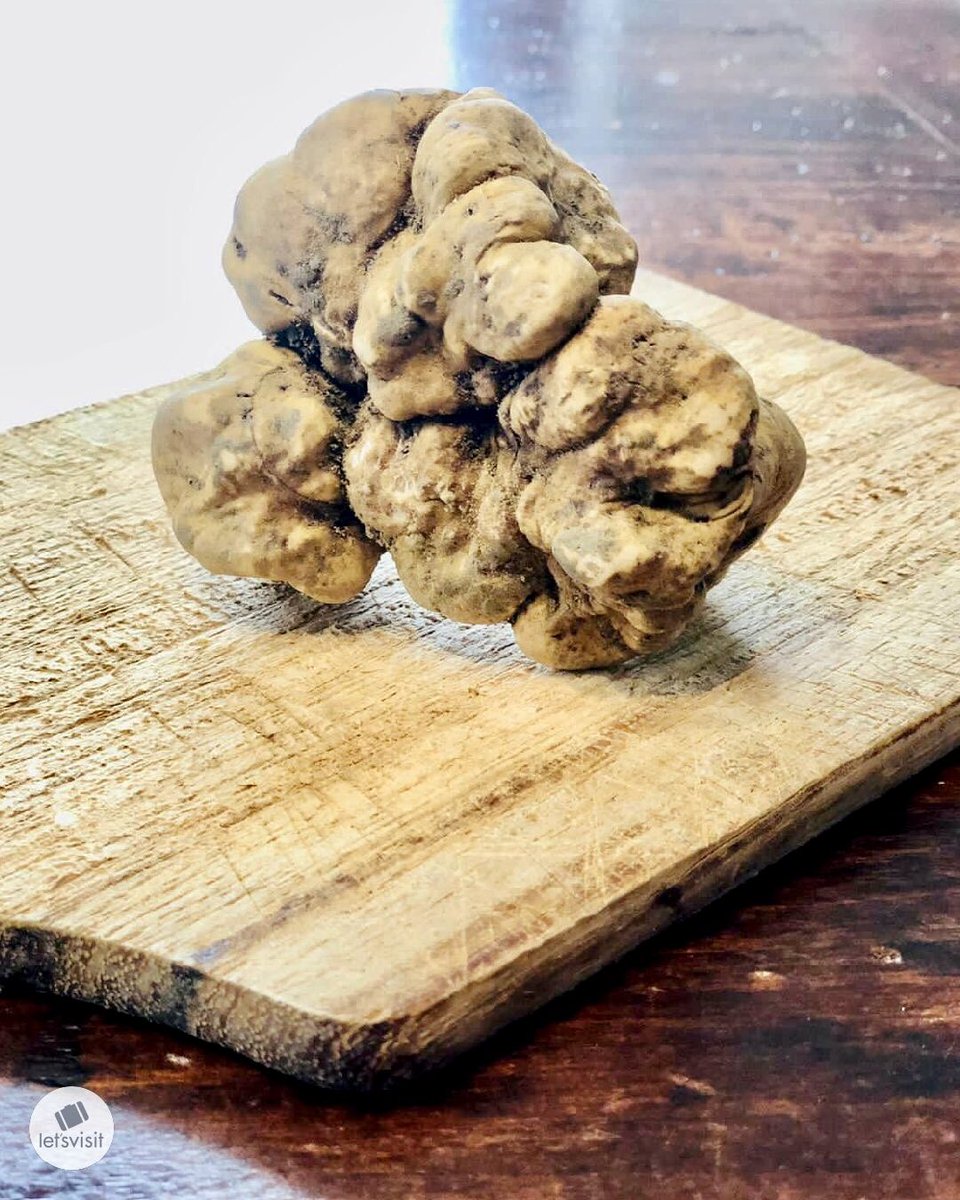 Let's Visit Piemonte tweet media