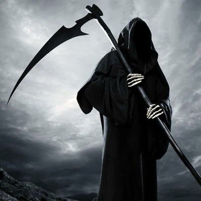 Tonvoisin Officiel Science La Mort Tue C Est Dingue Cette Histoire Alors Chers Compatriotes Autant Vivre En Peuple Couche Soumis A Toutes Les Folies Et Tous Les Arbitraires D Un Gouvernement