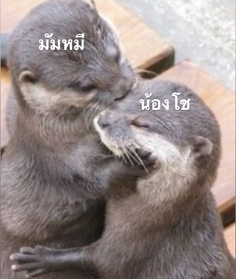 รู้มั้ย เด็กน่ารักต้องโดนอะไร