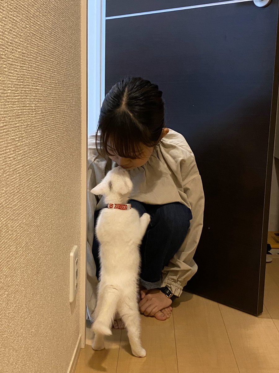 kochanicouple47's tweet photo. 動画あげました！！！新しい家族が増えましたhttps://t.co/TtP0cYPNPs https://t.co/I9WgL4AVAd