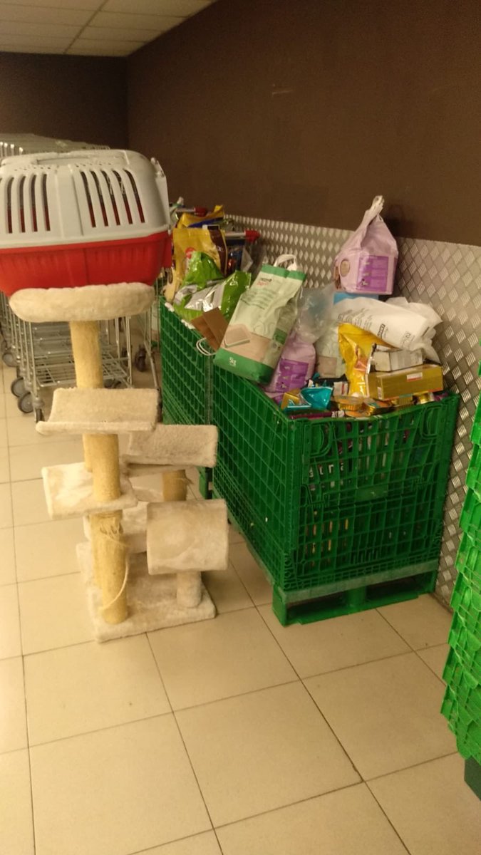 CantabriaFelina's tweet photo. Seguimos en el Eroski de Floranes recogiendo comida y arena para nuestros pequeños y también parra los perros de la @ProtectoraPATAS 
Estaremos hoy todo el día.
Os esperamos a todos.
#7Nov #rt #COMPARTAMOS https://t.co/5igsGS1jwi